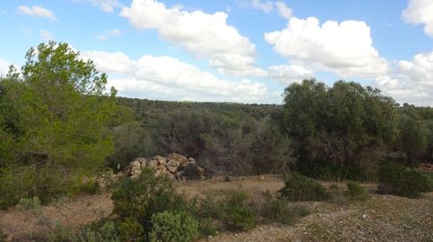 Foto 3 de Residencial en venda a Son Gual, Palma de Mallorca