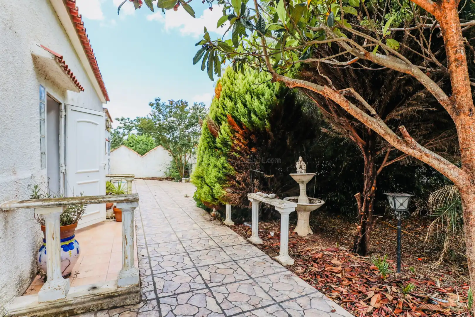 Villa con terrazza in vendita a Oliva Playa, imagen 22