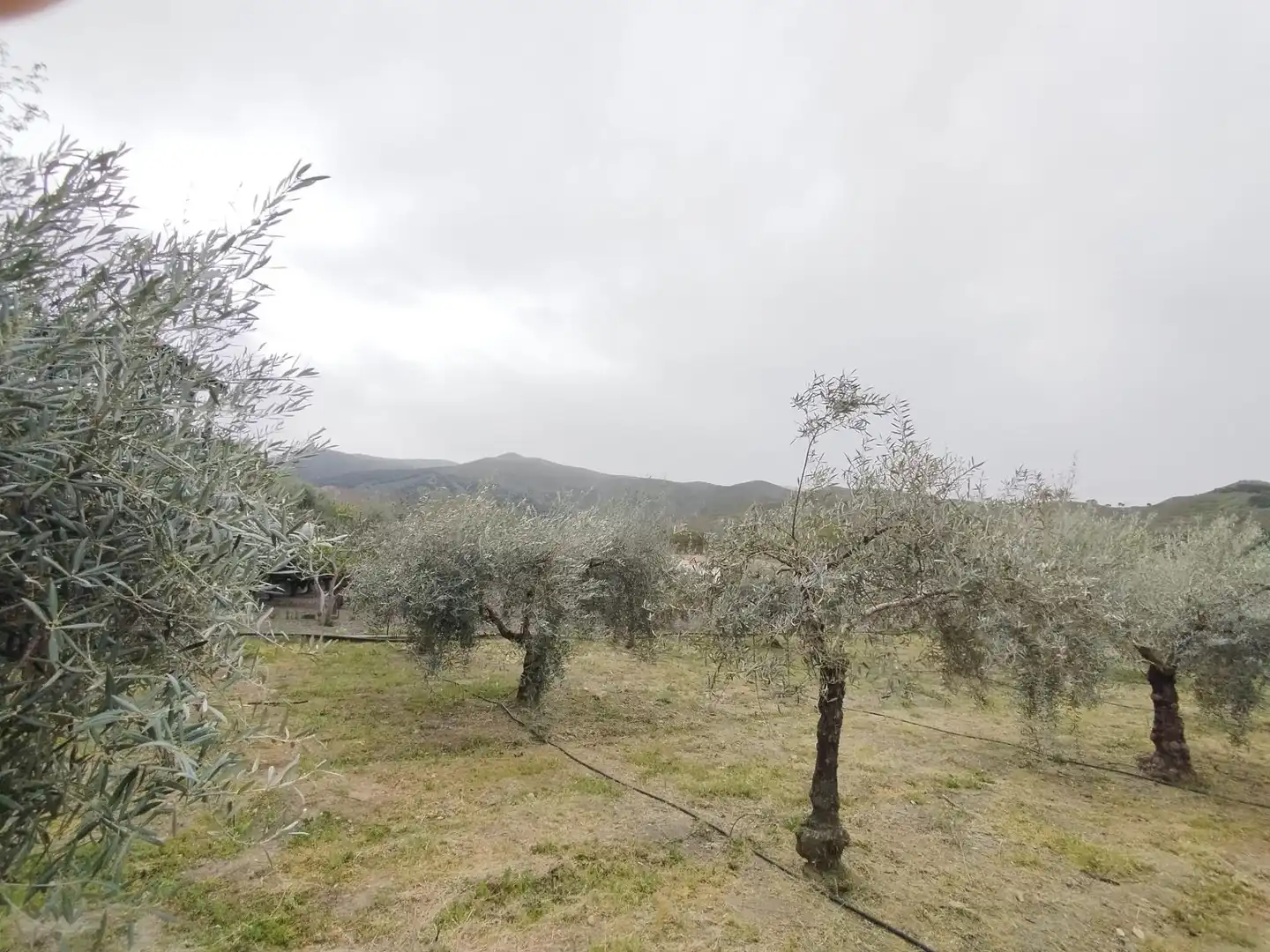 Terreni e lotti in vendita a Carretera Cenes de la Vega, imagen 16