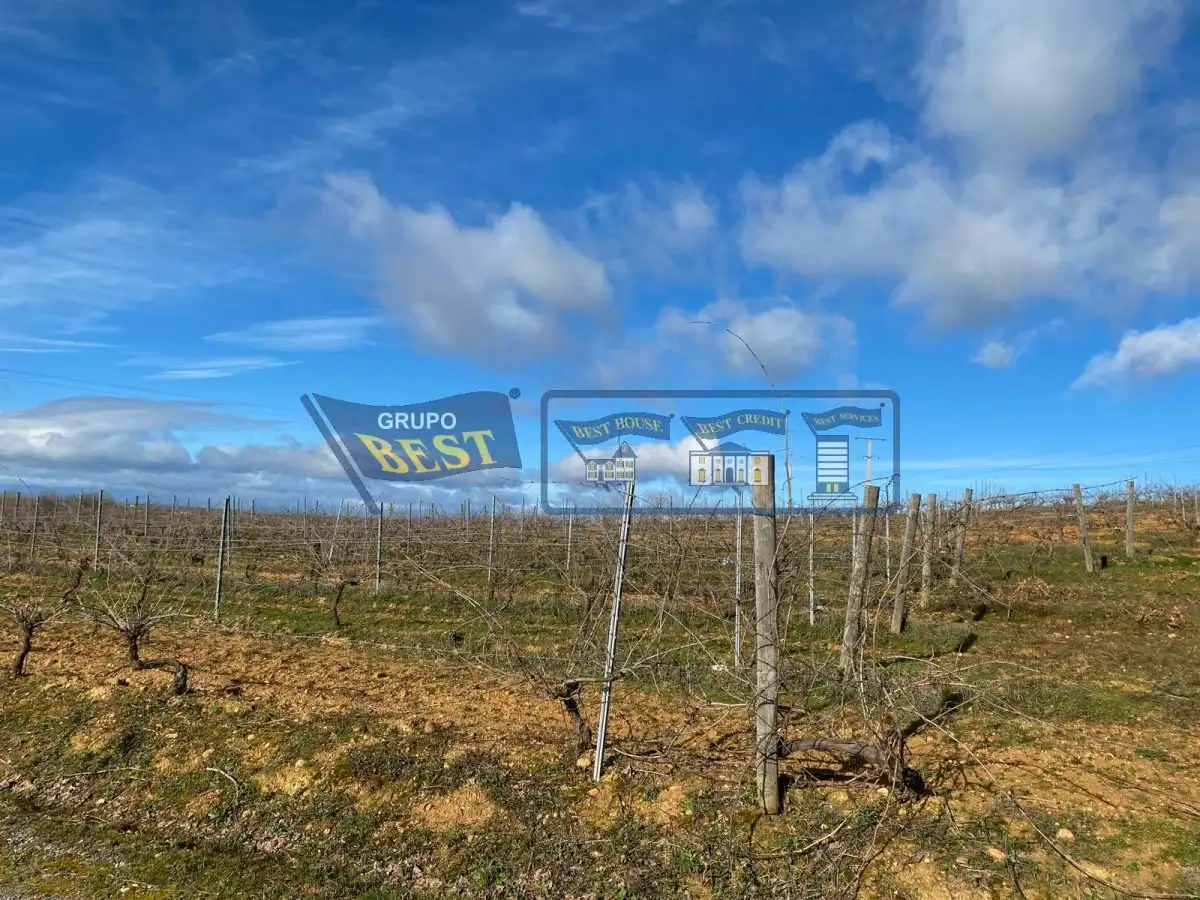 Local en venta en Chozas de Abajo