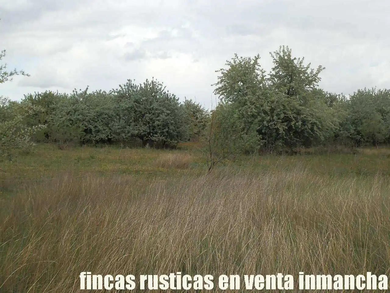 Terreny rústic en venda a Alcázar de San Juan, imagen 21