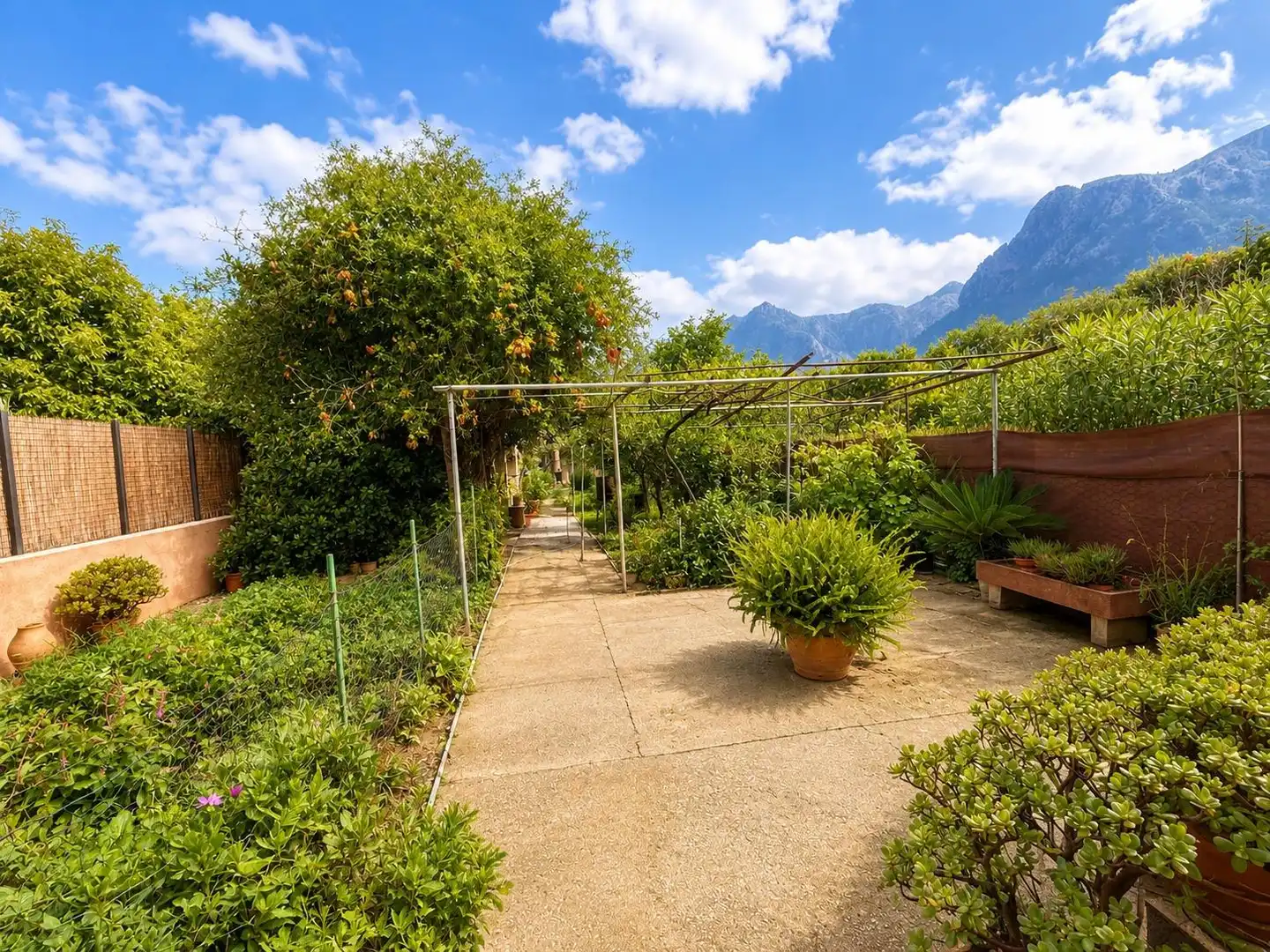 Casa rustica con giardino in vendita a Sóller, imagen 9