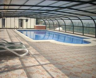 Swimming pool of Country house for sale in Torre-Pacheco  with Swimming Pool