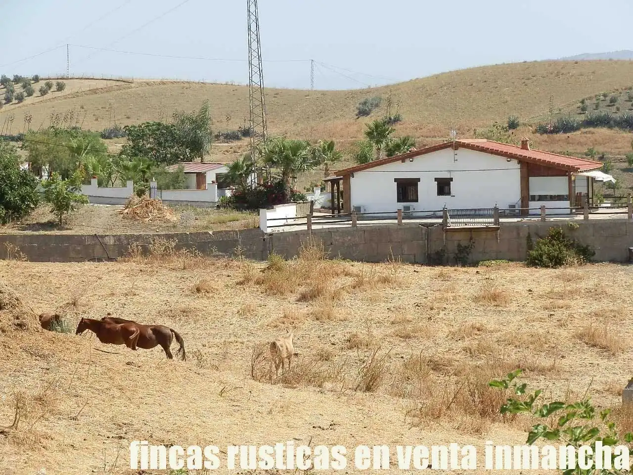 Terreni e lotti in vendita a Pizarra, imagen 2