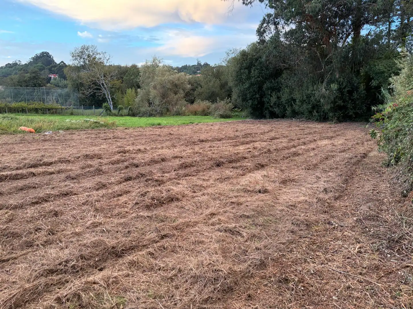 Maison rustique avec jardin à vendre à Campo das Bestas 5, imagen 29