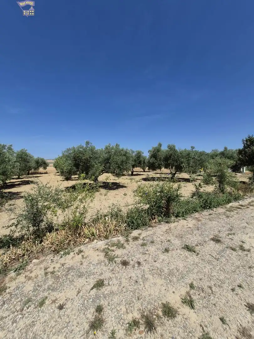 Casa rústica amb jardí en venda a Arcos de la Frontera, imagen 80