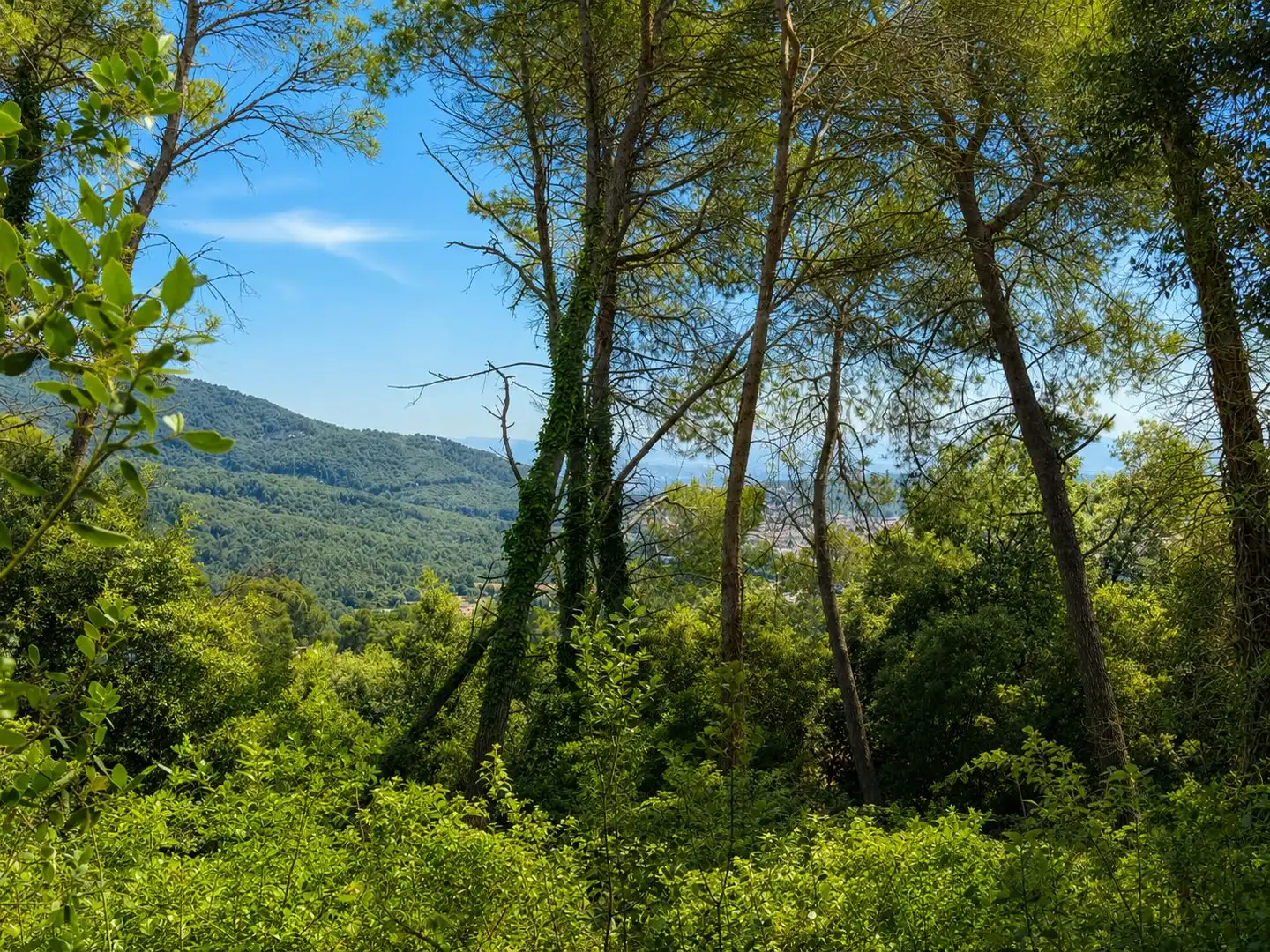 Lands and plots for sale in El Racó - Sant Feliu del Racó, imagen 6