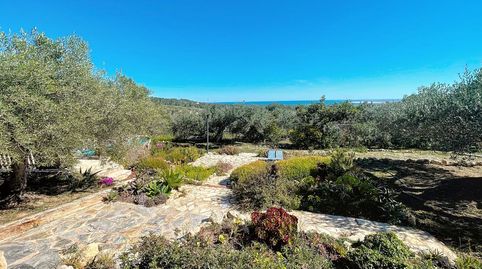 Finca Frafatou, imagen 5