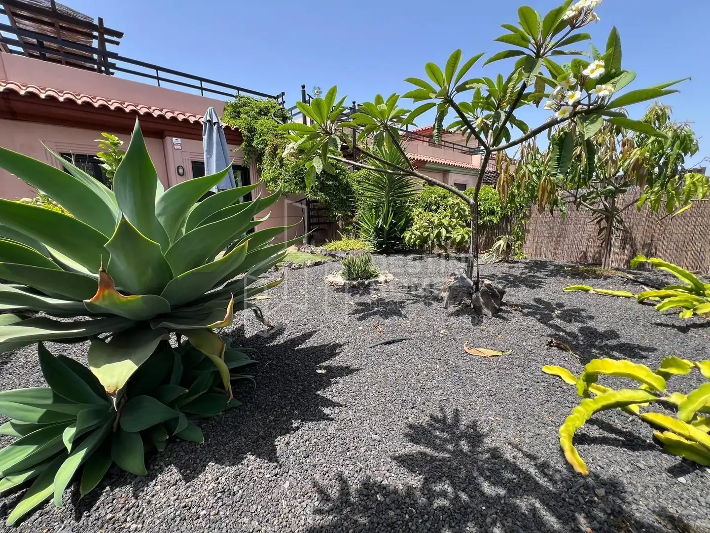 Jardí de Casa adosada en venda en La Oliva amb Jardí privat, Terrassa i Moblat