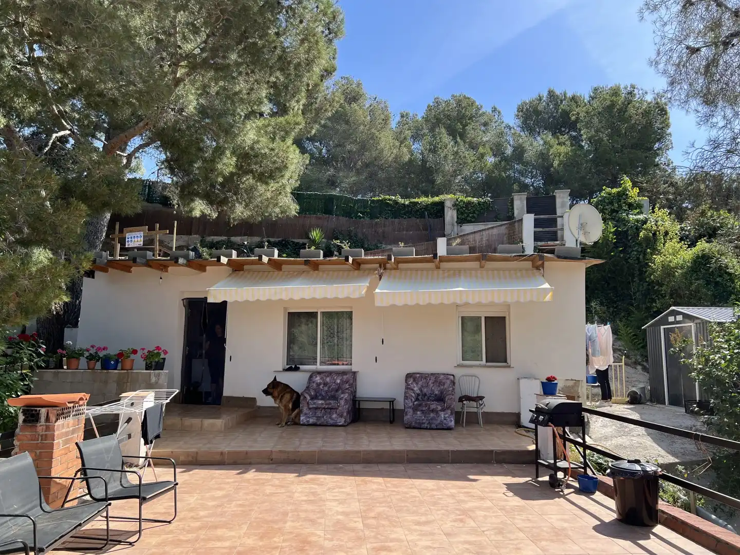 Casa o xalet en venda a ARBOLI, Almoster