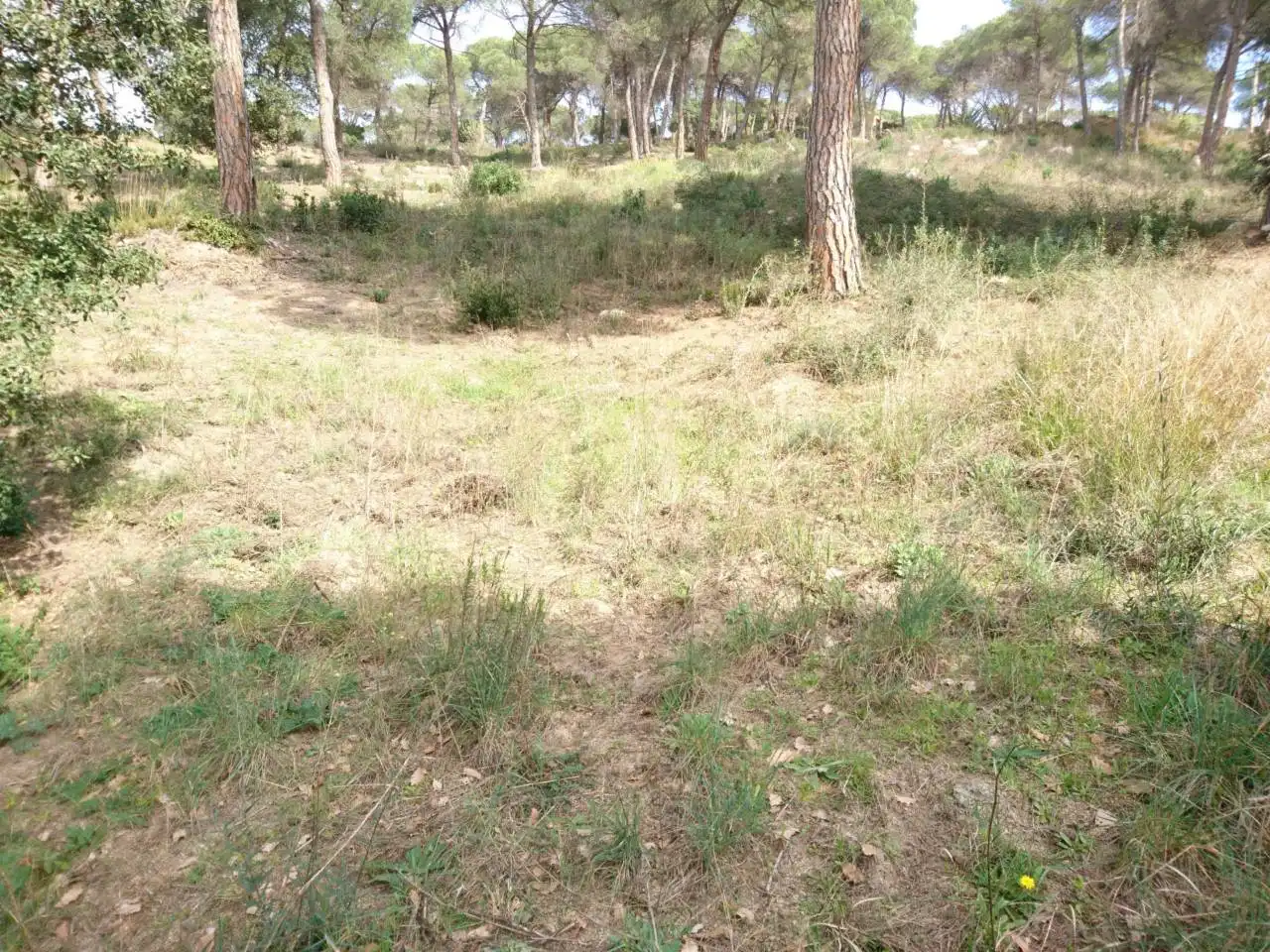 Terreny residencial en venda a Vilanova del Vallès, imagen 32