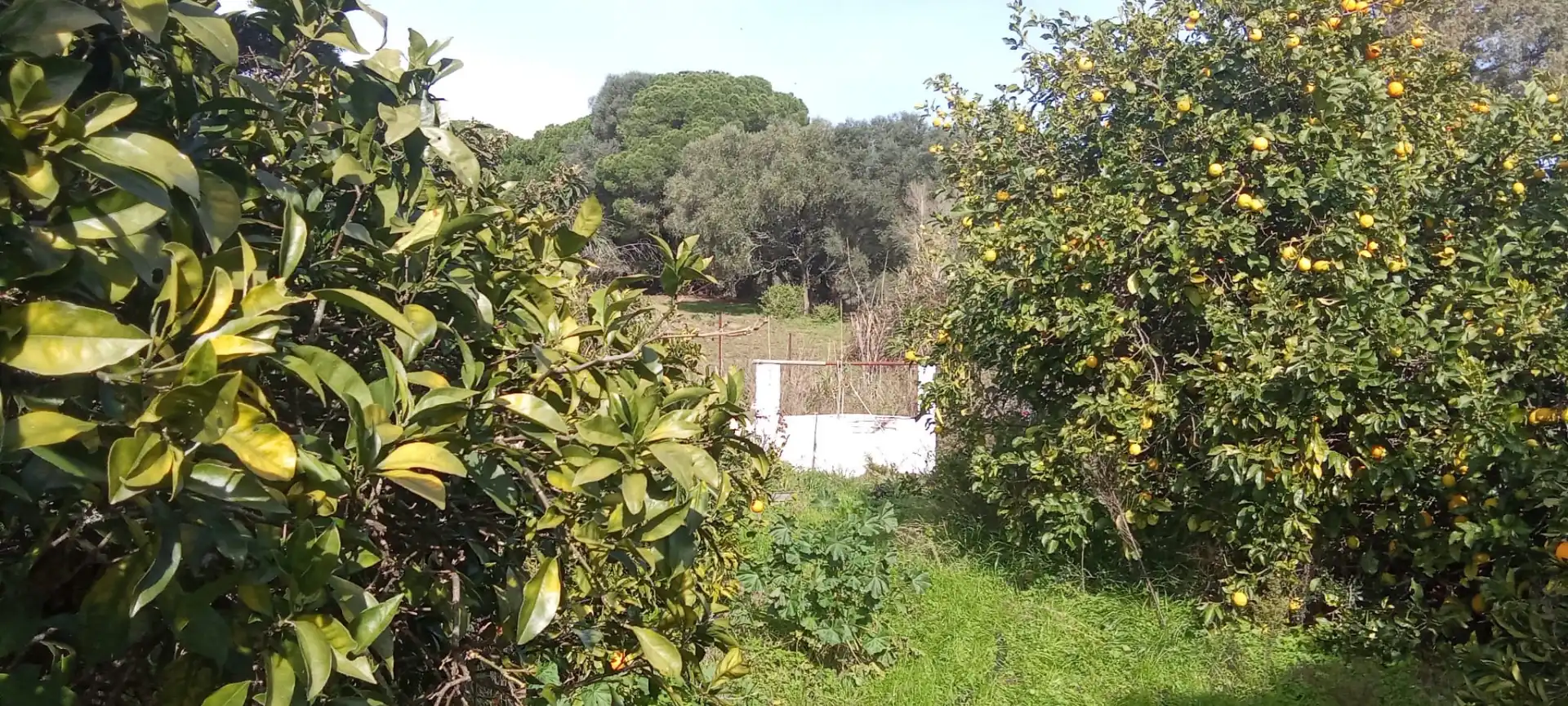 Casa rústica en venda a Vejer