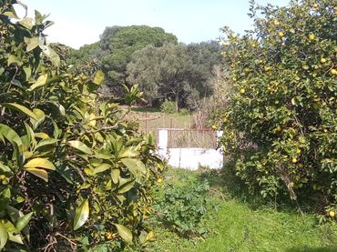 Casa rustica in vendita a Vejer