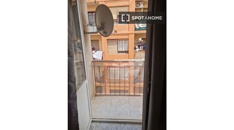 Photo 2 of Room in Carolinas Altas, Alicante / Alacant