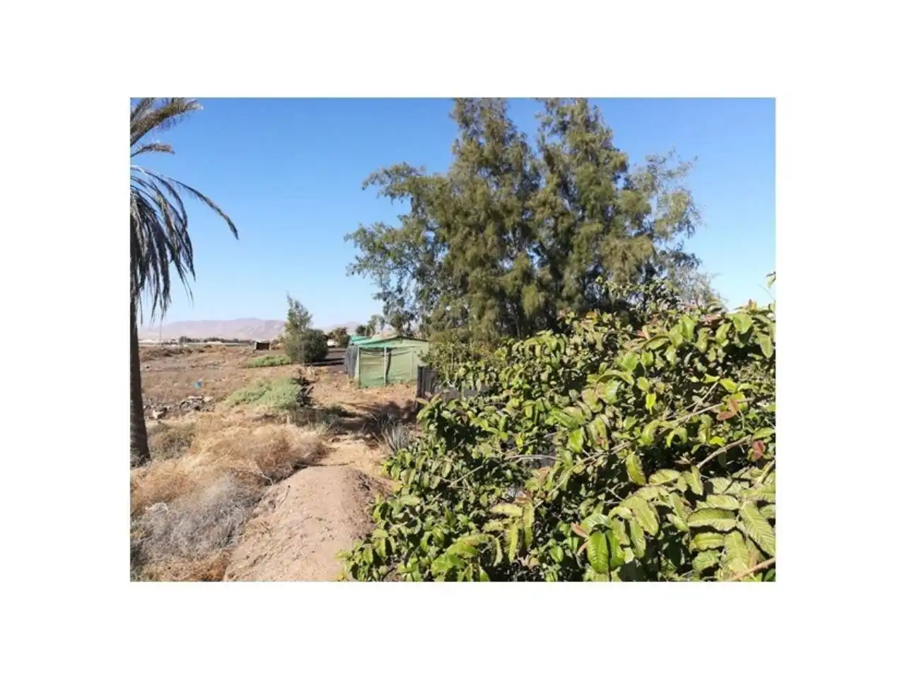 Houses for sale in Gran Tarajal, Tesejerague