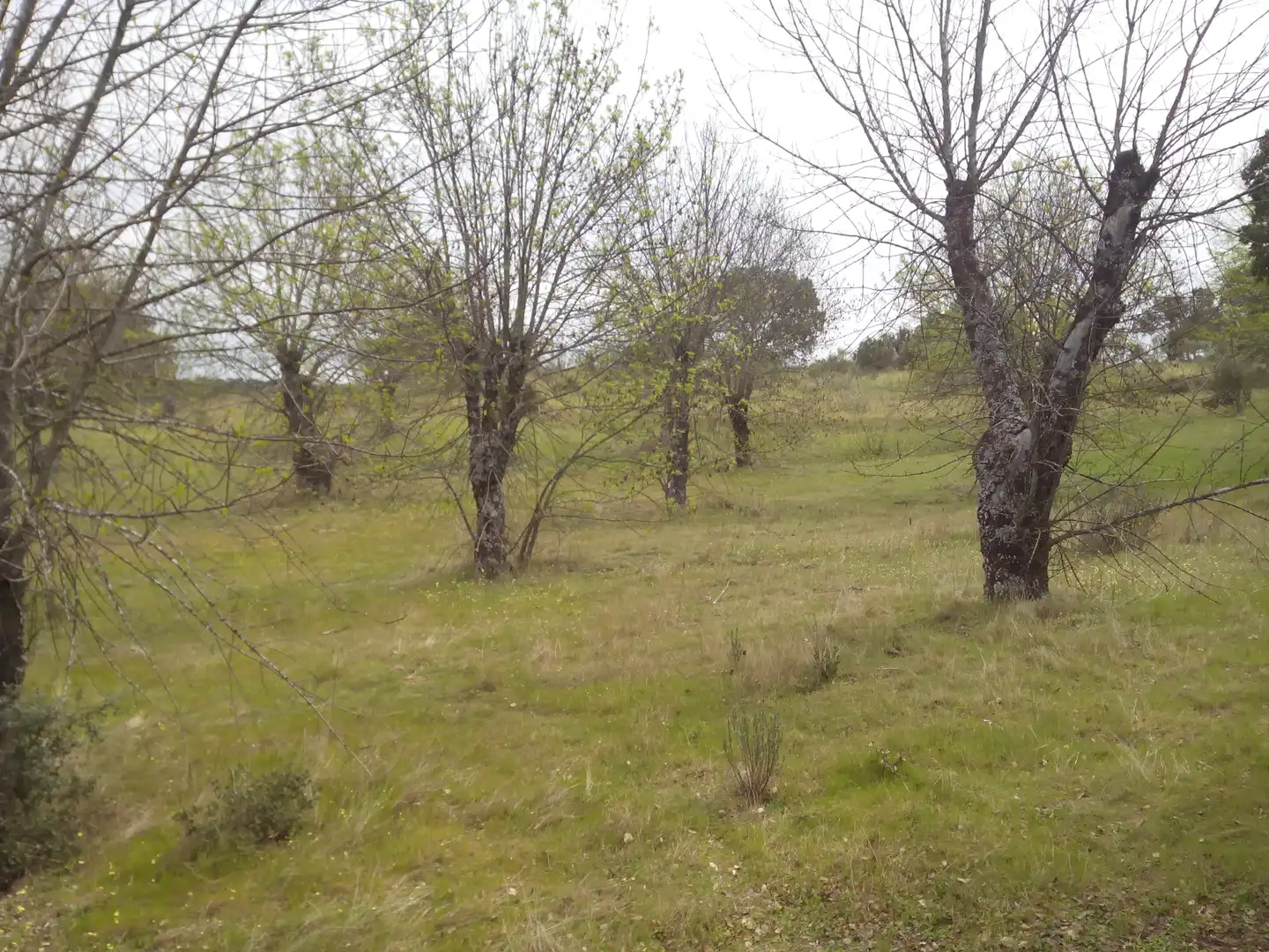 Terreno en venta en Aldea del Fresno