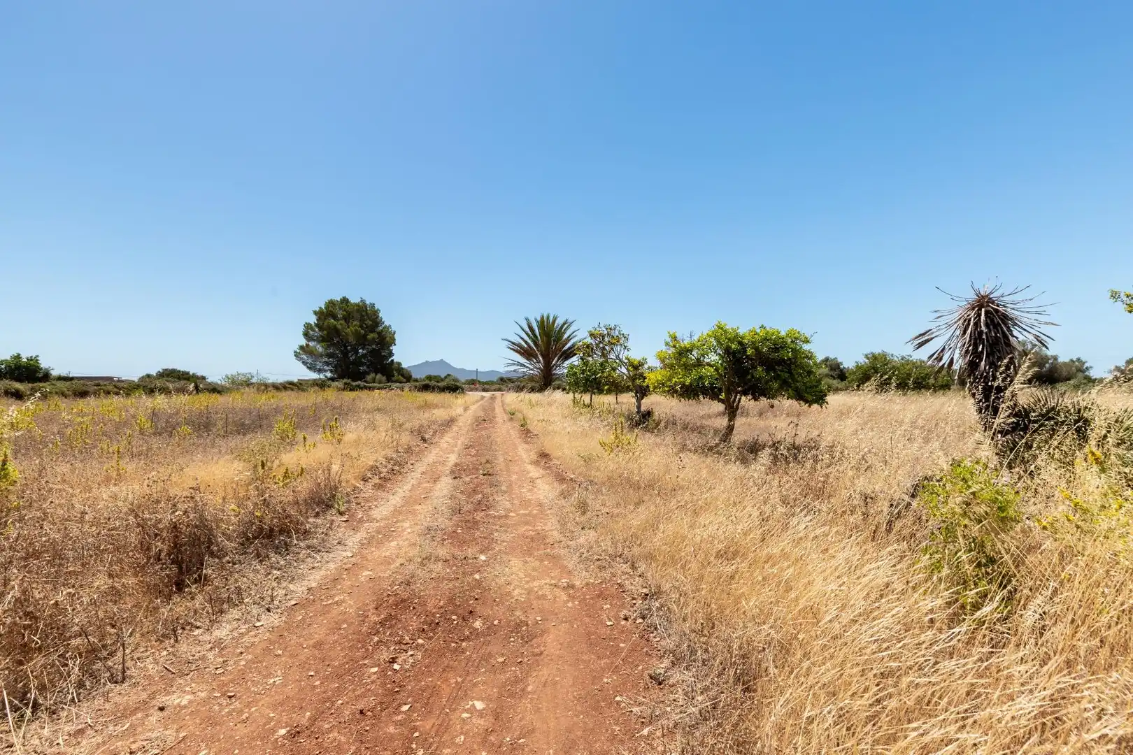Finca rústica en venda en Felanitx amb Terrassa