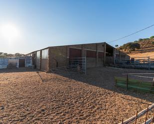 Land for sale in Calañas
