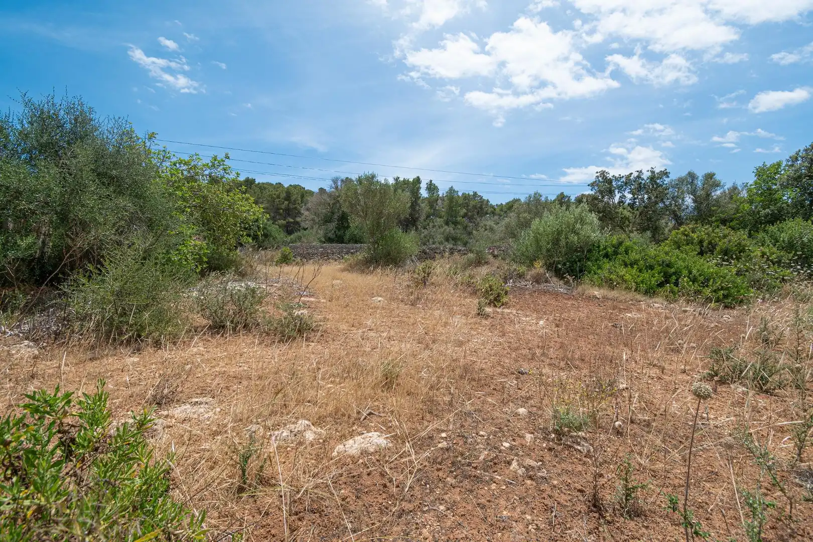Lands and plots for sale in Felanitx Poble, imagen 19