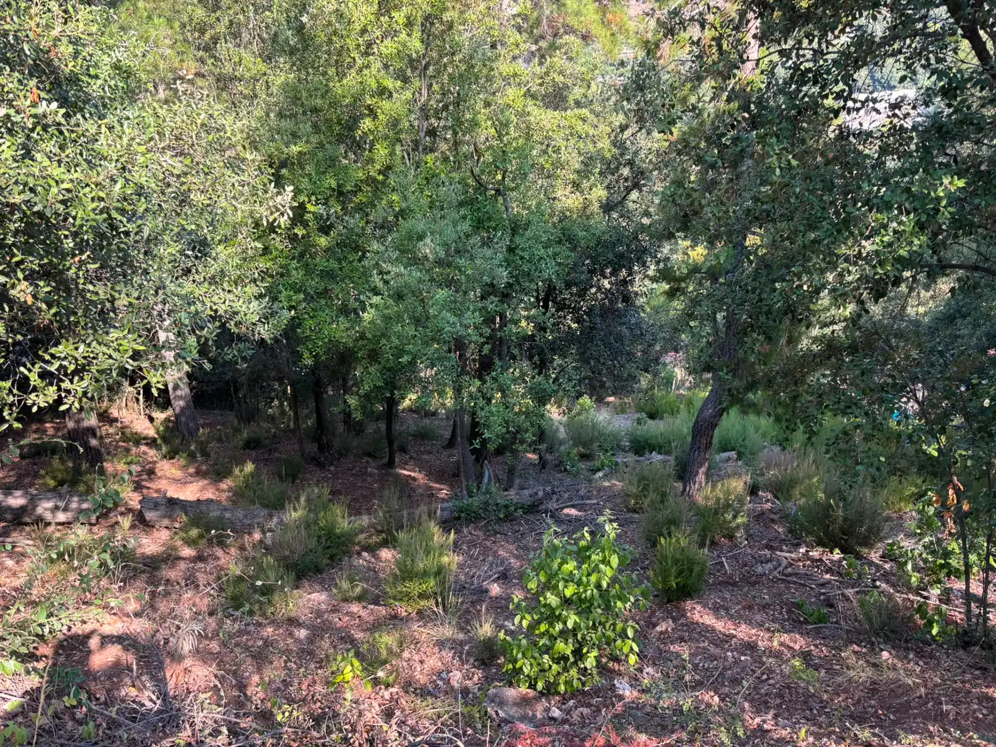 Terreno residencial en venta en Carrer del Gabi 18, imagen 3
