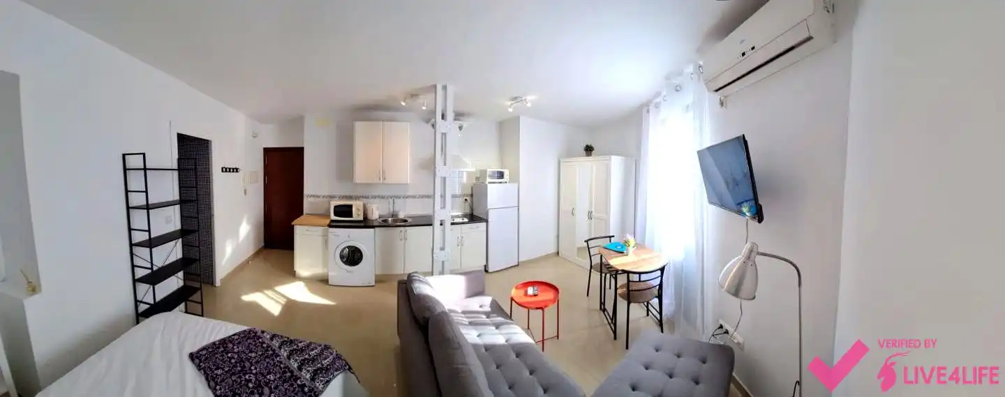 Sala d'estar de Estudi de lloguer en Sevilla amb Aire condicionat i Moblat