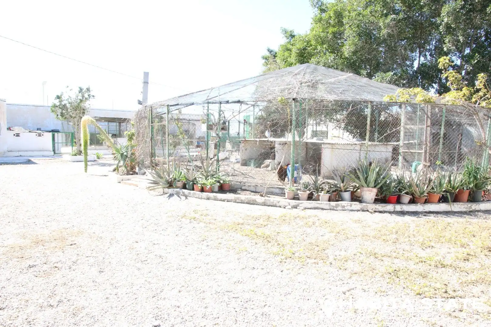 Garden of Residential for sale in Pechina