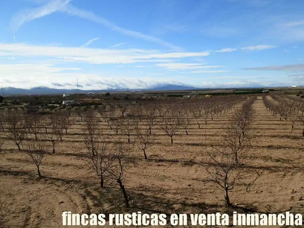 Vista exterior de Terreno en venta en Mora