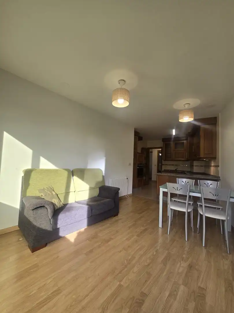 Living room of Flat for sale in Valdoviño  with Heating, Storage room and Furnished