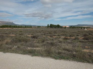Rustikales Grundstück zum Verkauf in Almansa