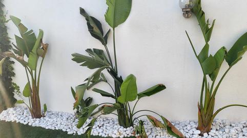 Foto 4 de Casa o xalet en venda a El Palomar, Valencia