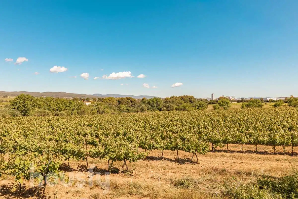 Casa adosada en venta en Santa Margarida I Els Monjos con Trastero