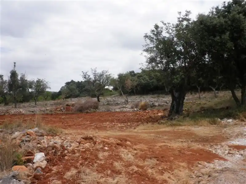 Rural land for sale in Benissa pueblo, imagen 11