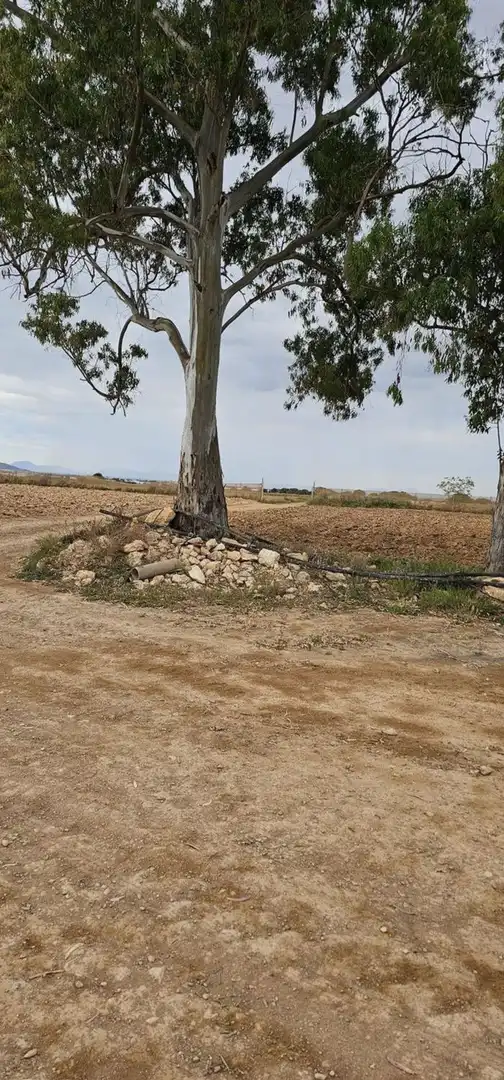 Terreno en venta en Camino el Hornico, Sucina