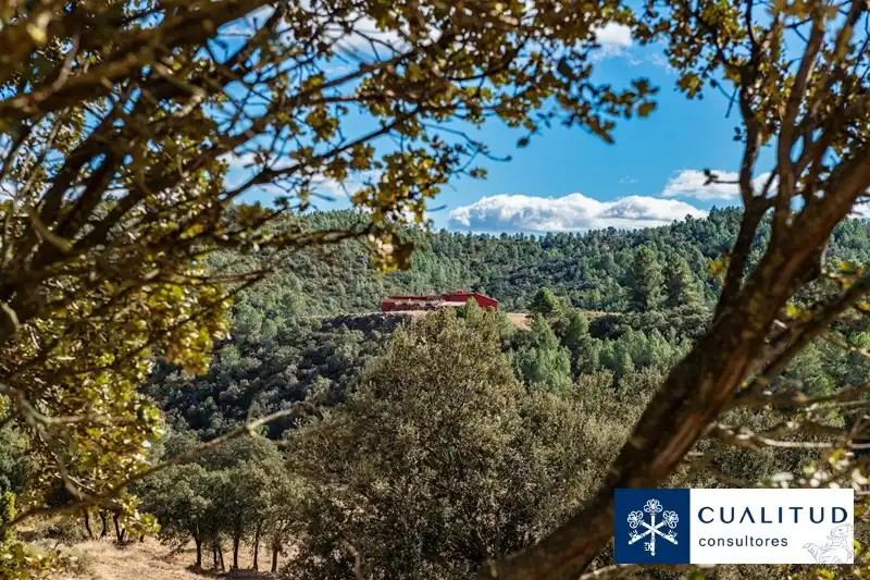 Exterior view of Land for sale in Torralba del Pinar