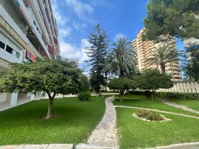 Piso con ascensor en alquiler en Avinguda de la Costa Blanca, imagen 25