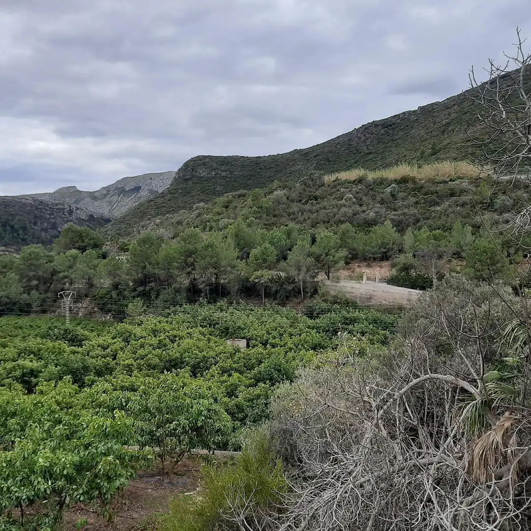 Xalet amb piscina en venda a L'Atzúbia, imagen 31