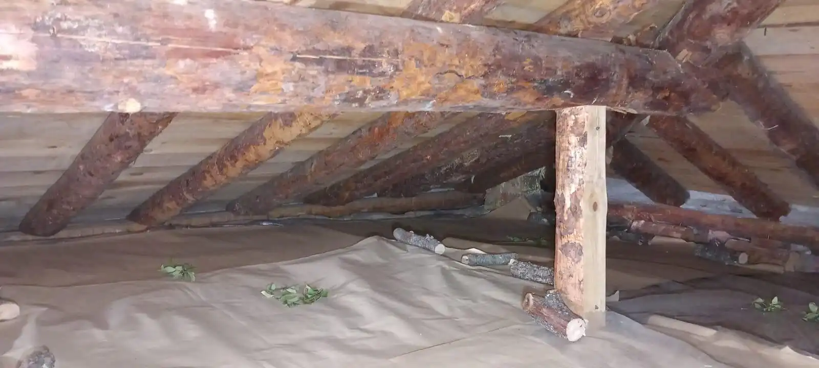 Casa o xalet en venda en Torrecilla del Pinar amb Jardí privat, Traster i Moblat