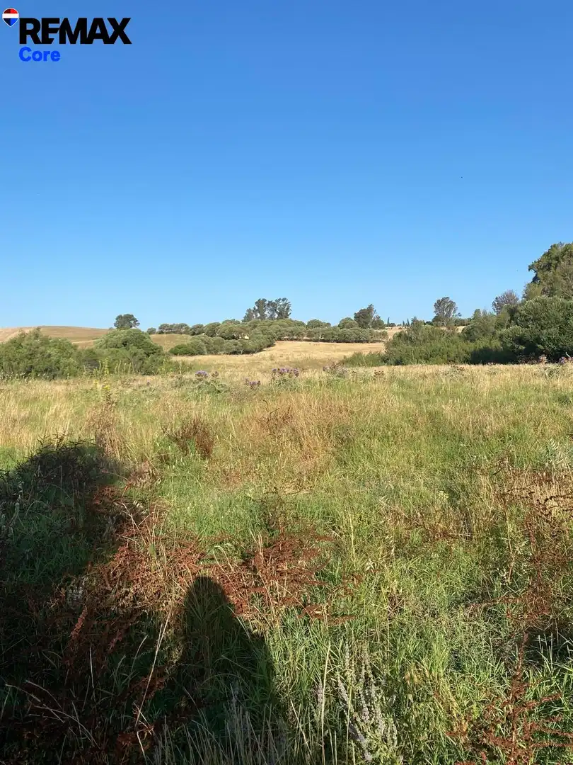 Terreny rústic en venda a Medina Sidonia, imagen 5