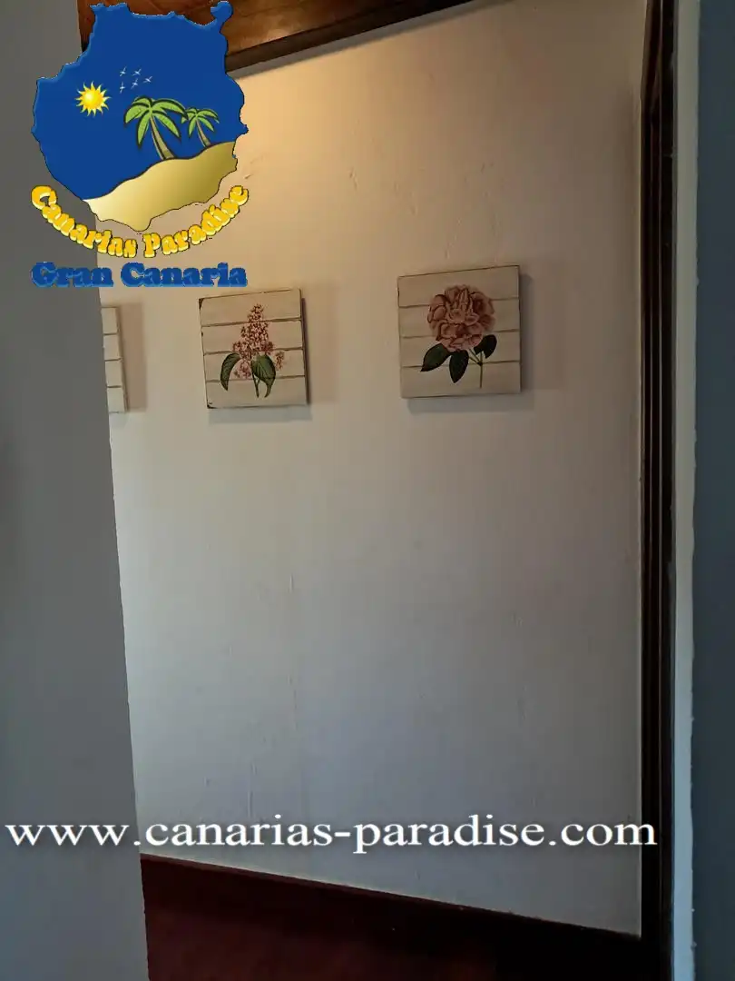 Haus oder Chalet zum Verkauf in Valle de los Nueve - El Ejido - Medianías