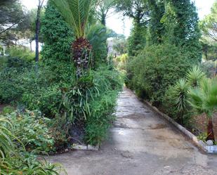 Jardí de Finca rústica en venda en Valverde del Camino amb Jardí privat, Terrassa i Traster