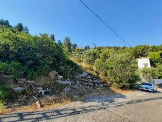 Terreny rústic en venda a PT PP SAPU-1 Rincón del Silencio 66, imagen 9
