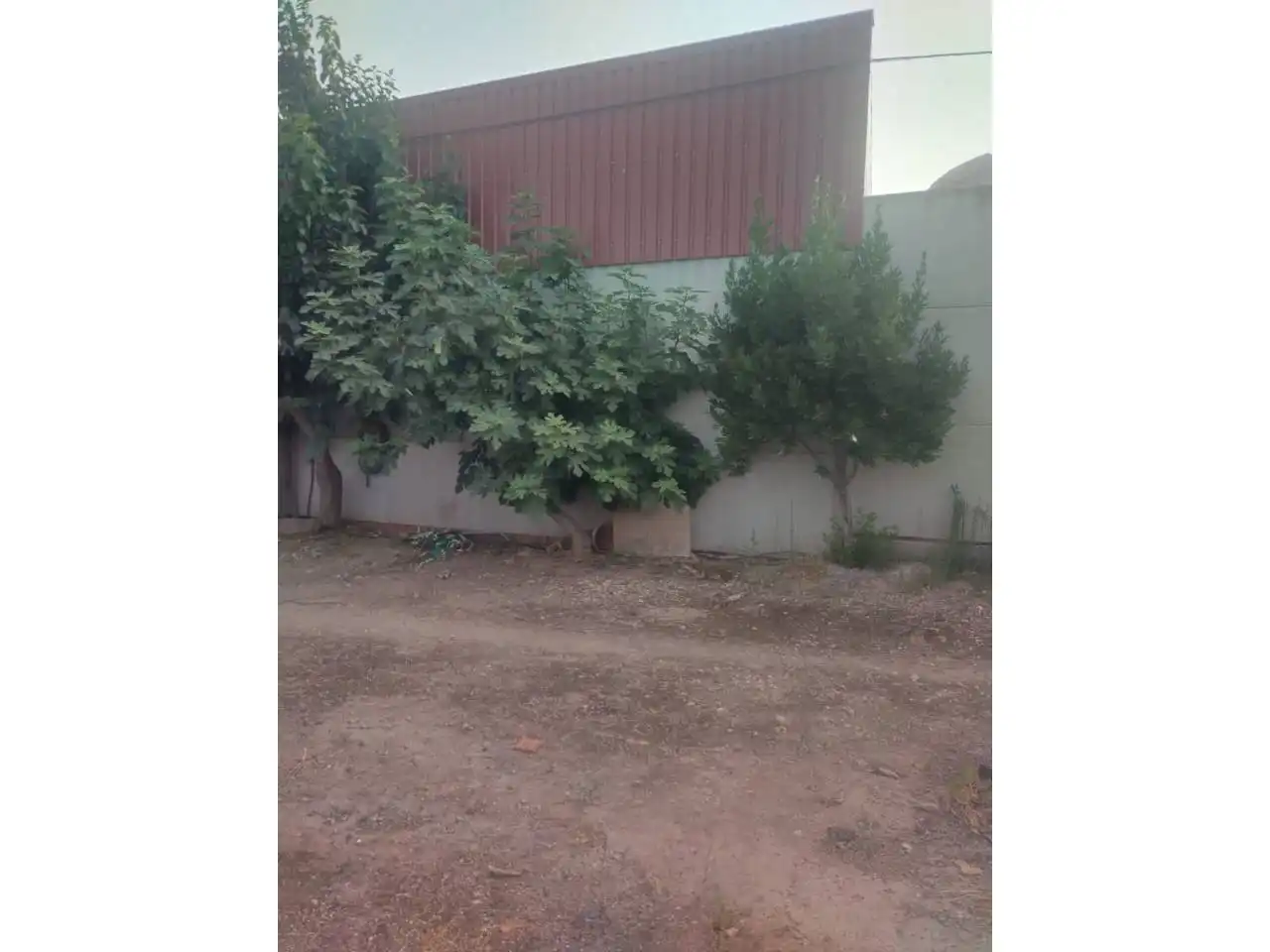 Casa rústica amb piscina en venda a Calle POLIGONO 4 PARCELA 1186, imagen 26