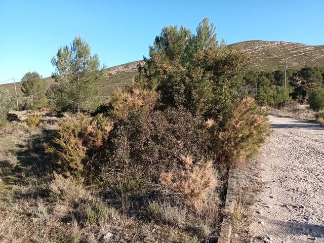 Terreno residencial en Venta en Llanorel  en Macastre