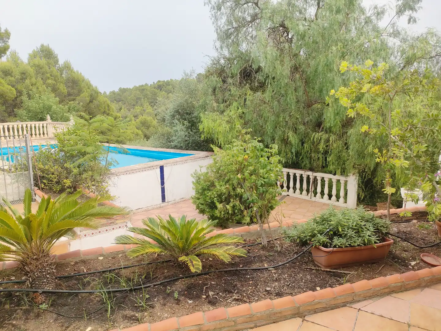 Jardín de Casa o chalet en venta en Turís con Jardín privado, Terraza y Trastero
