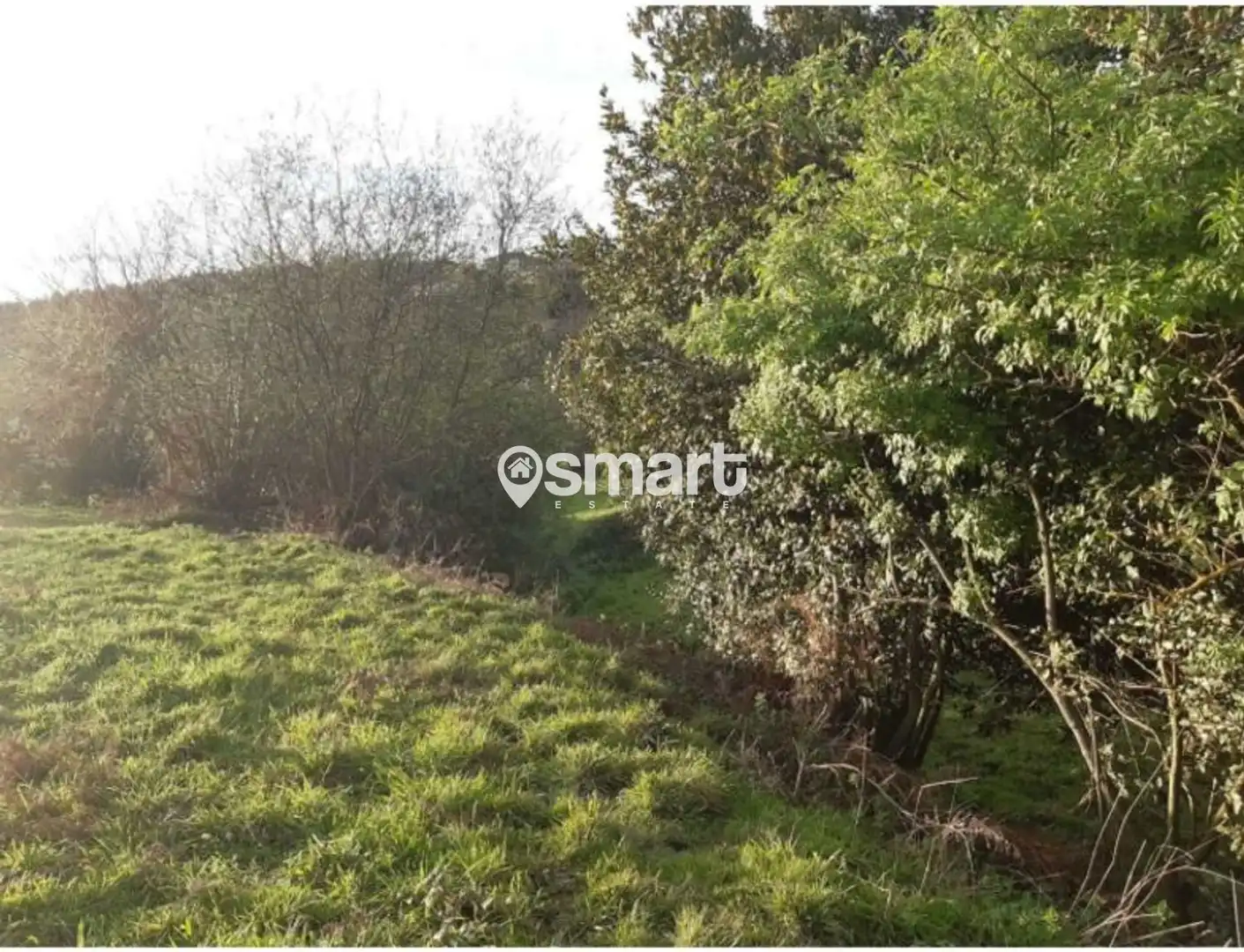 Rural land for sale in Remeros del Nalon, imagen 3