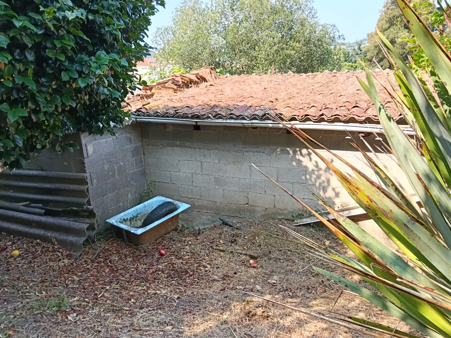 Maison avec jardin à vendre à Rúa Saavedra Meneses 87, imagen 3