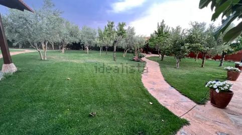 Foto 4 de Finca rústica en venta en Malagón, Ciudad Real