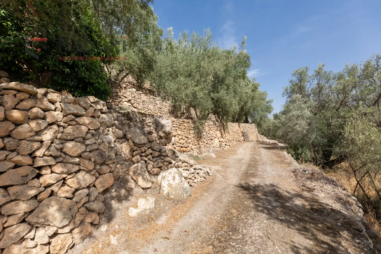 Terreno rustico in vendita a Pinar El - Pantano de Beznar, imagen 21