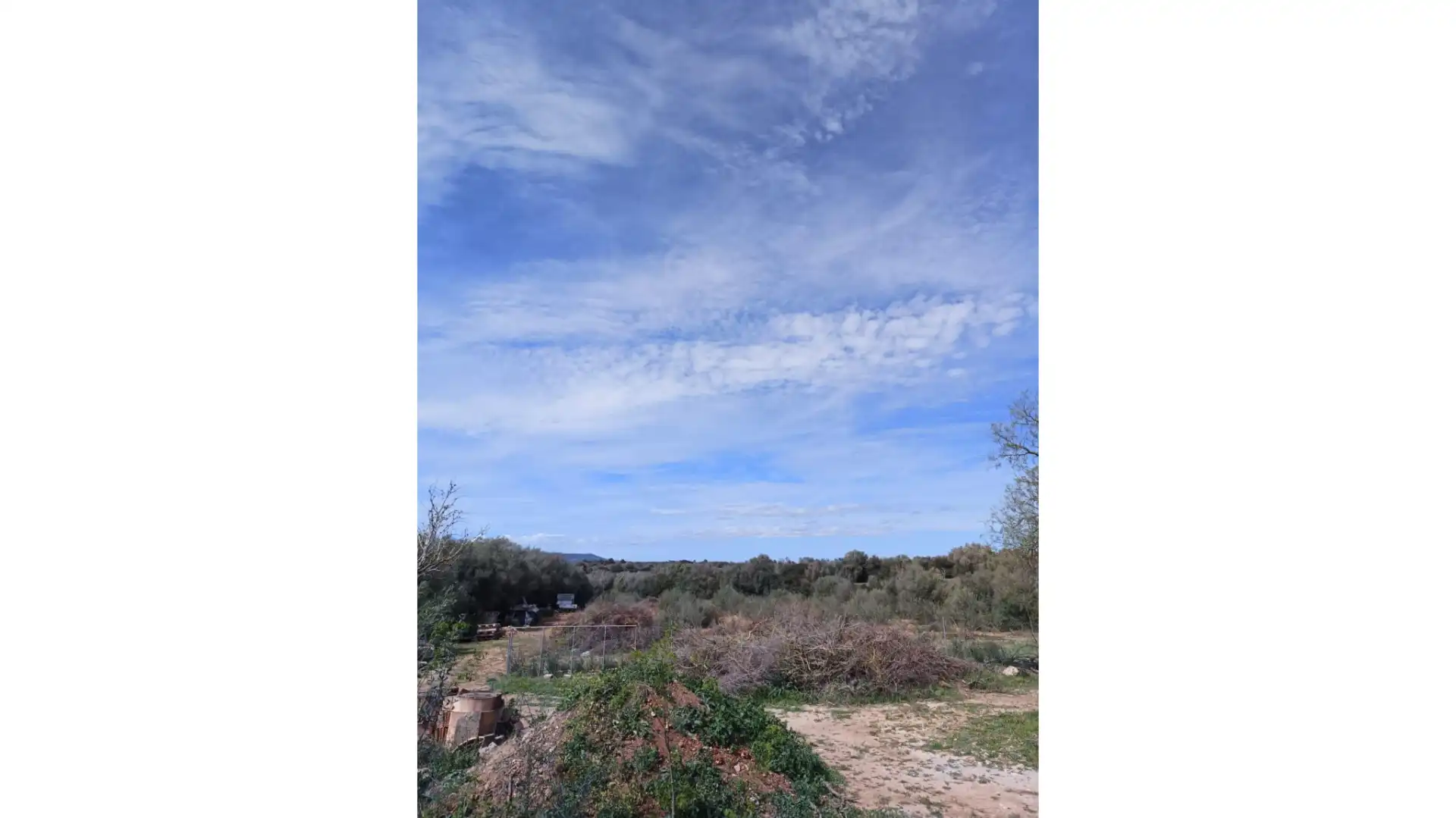 Finca rústica en venda en Vilafranca de Bonany amb Jardí privat i Terrassa