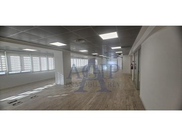 Büro zur Miete in Calle Rossello